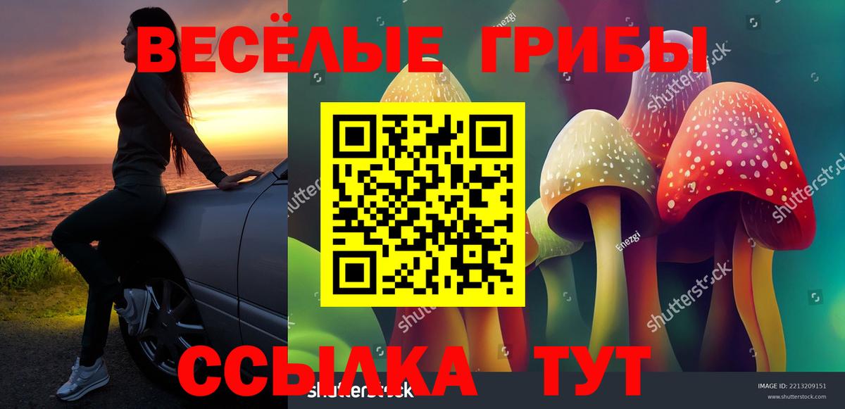 Псилоцибиновые грибы Magic Shrooms  цены   Гусь-Хрустальный  Вход с VPN 